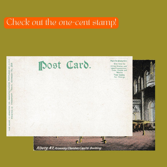 Vintage Albany NY Capitol Postcard | Assembly Chamber Grand Interior | Antique New York State History Gift | Early 1900s Ephemera